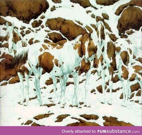 How many horses