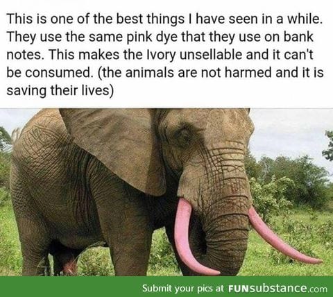 Saving wild life