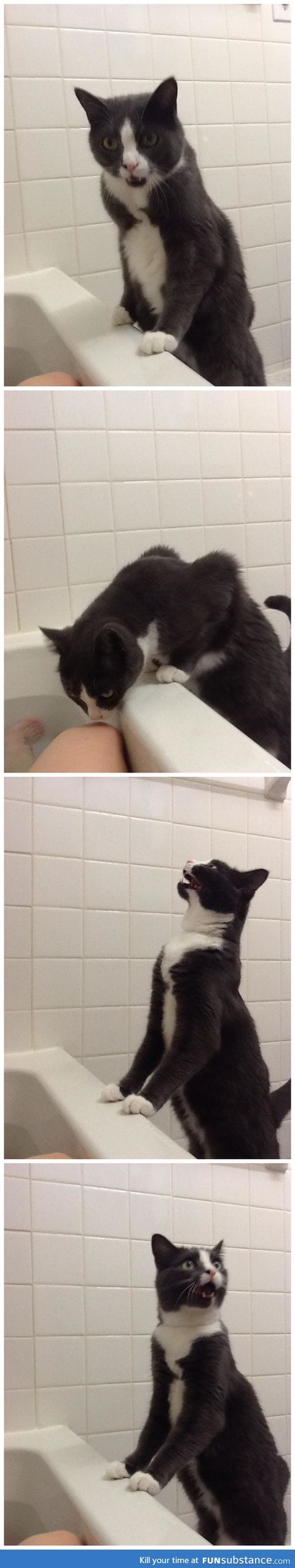Just a typical bath time with Kiwi