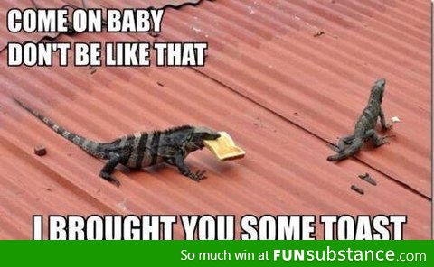 Lizard Love
