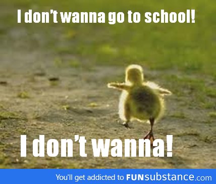 School