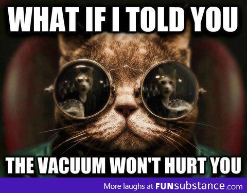 Cats should know