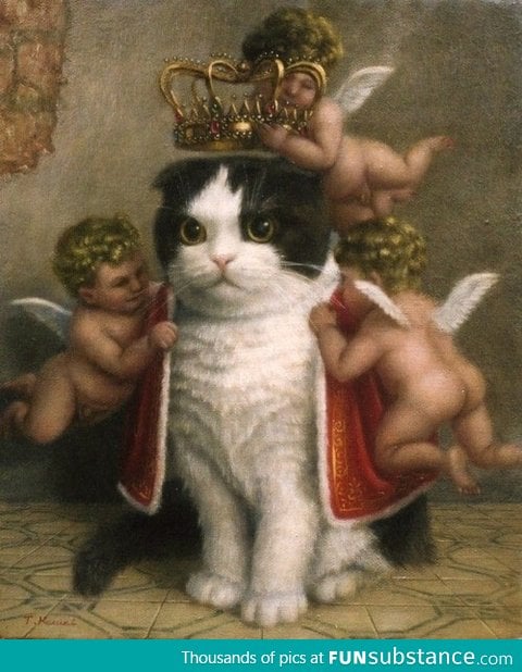 How I feel when my pic gets a lot of likes