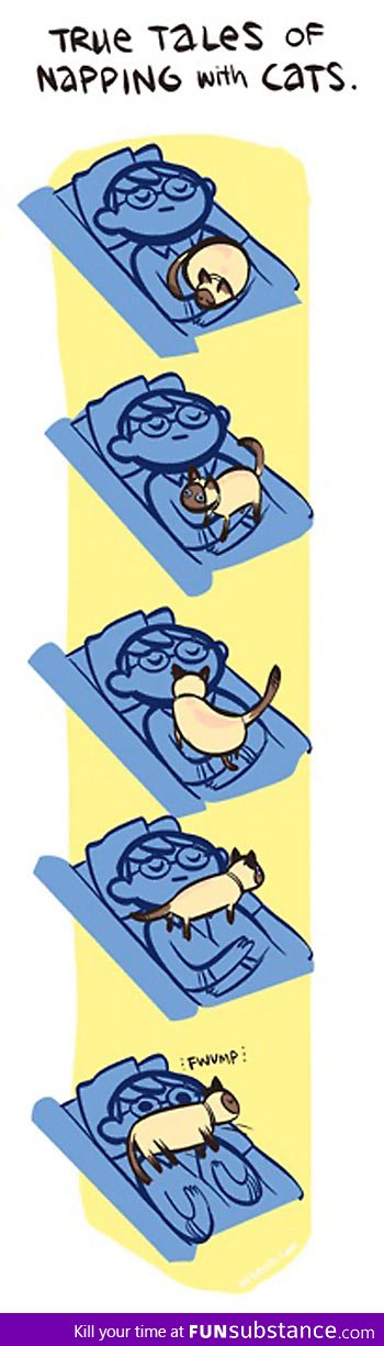 Napping with cats