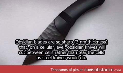 Obsidian blades are really that sharp