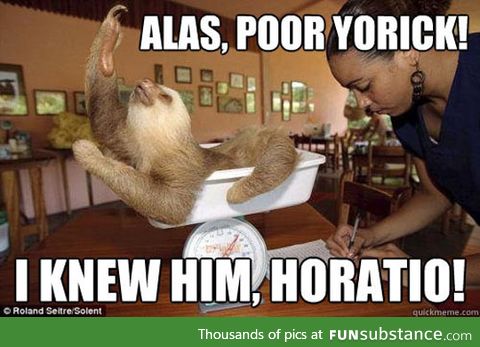 Such a dramatic sloth