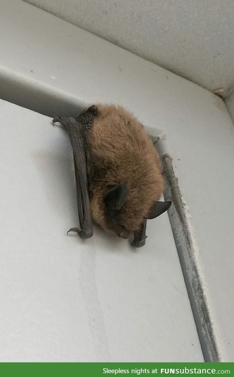 little guy hanging out