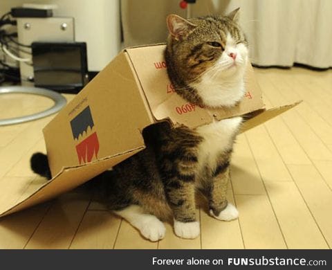 He's Ready For Take-Off