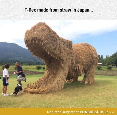 Life, uh... Finds a hay