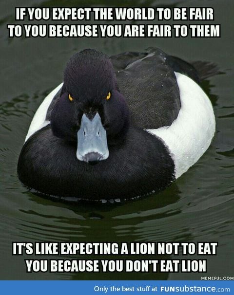 Learned this the hard way