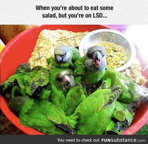 Why is the lettuce biting?