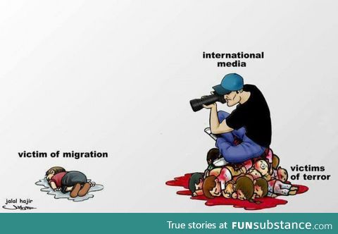 The media only lets you see certain things
