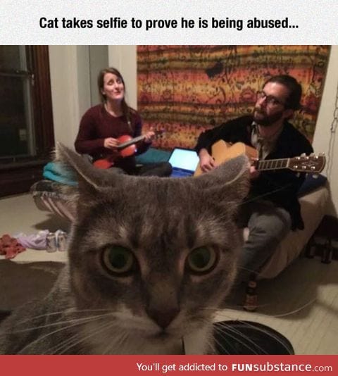 I'd Feel Abused Too