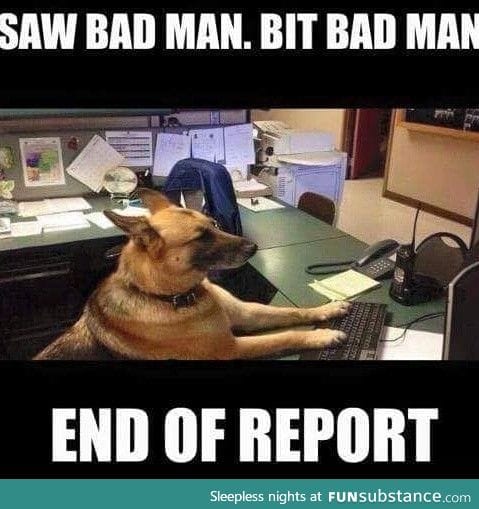 Grunt police work