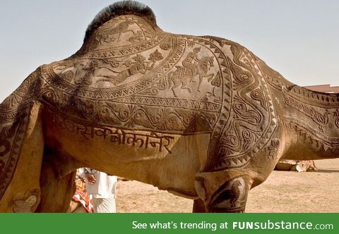 Camel went to the barber