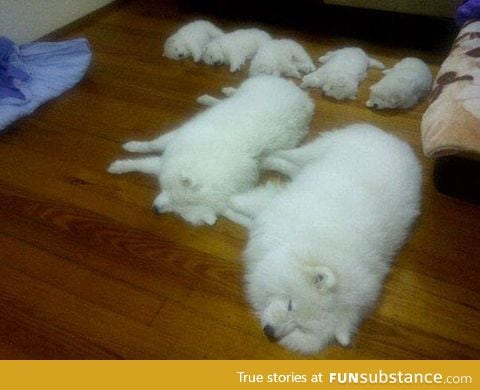 Bedtime for the entire family