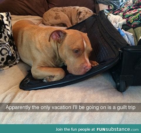 Guilt trip