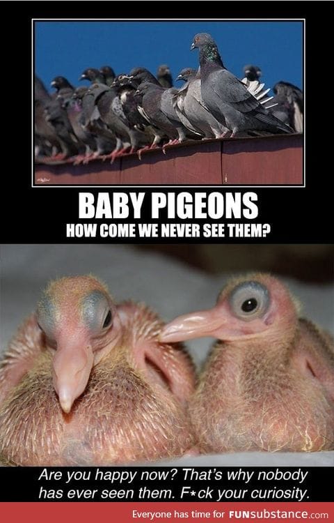 How come we never see them?