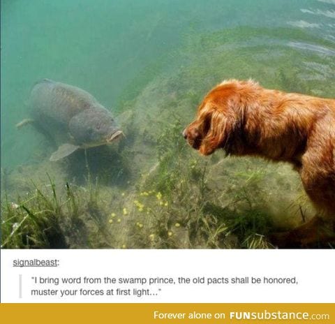 woof