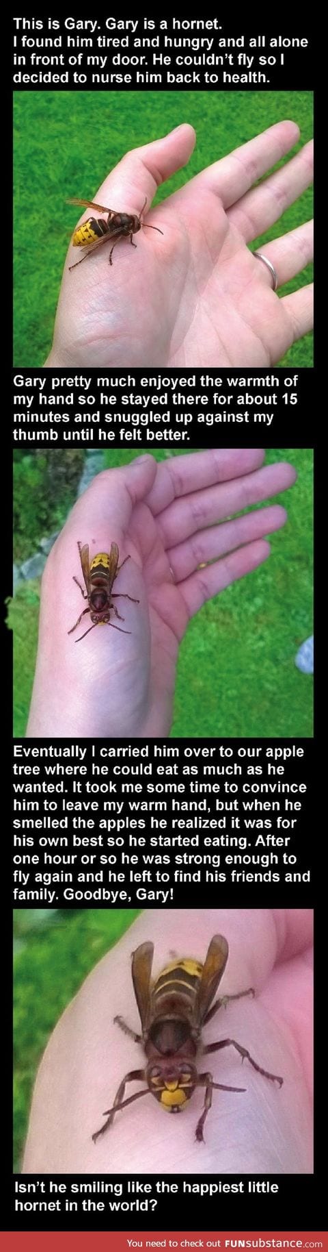 Meet gary!