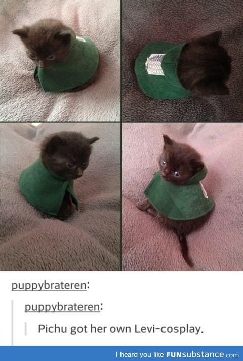 "15 meter Titans, coming our way!" "Meow" "DO YOU THINK THIS IS A f*ckING GAME SOLDIER"