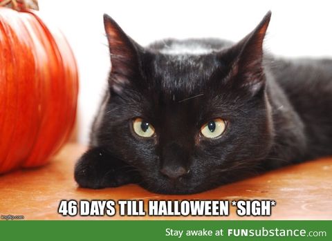 Anyone else looking forward to Halloween?