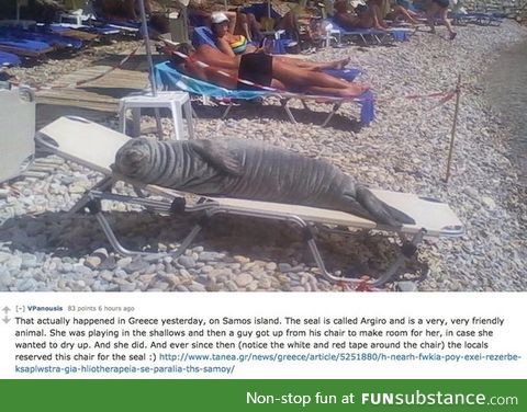 Seal is like a boss