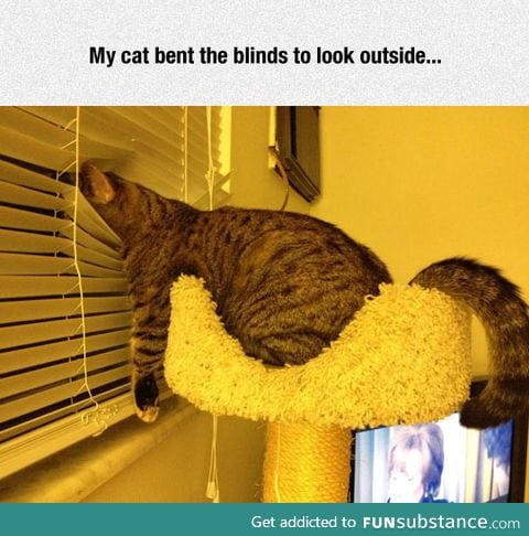 Laziness at its best