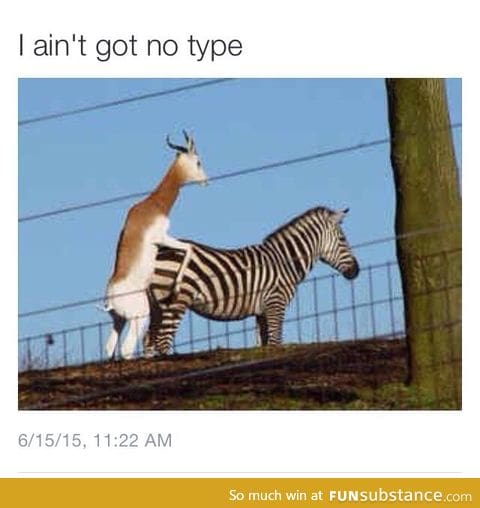 I ain't got no type