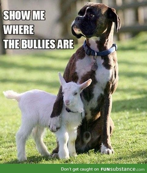 Protecting the kid