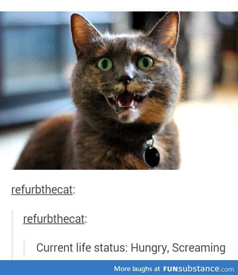 Refurb is my spirit animal