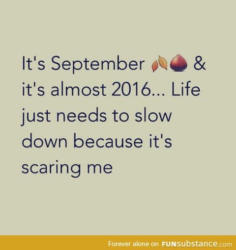 Life just needs to slow down
