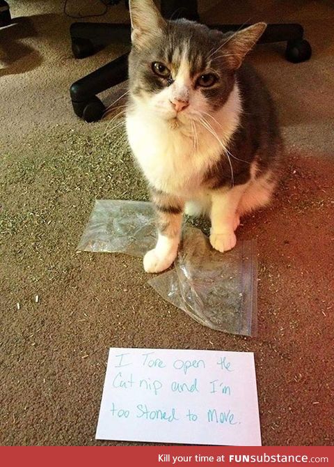 I've been there kitty, I've been there