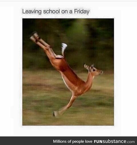 WEEKEND!!!!!