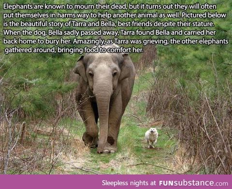 All the feels