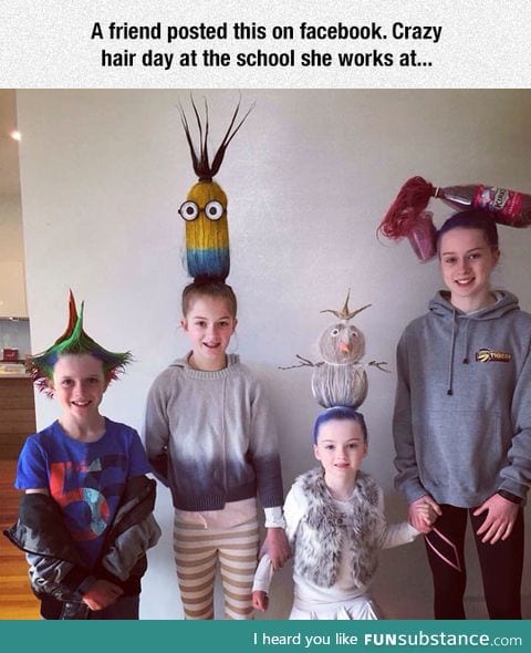 Crazy hair day done right