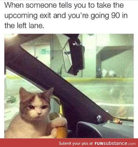 Quick, get over!