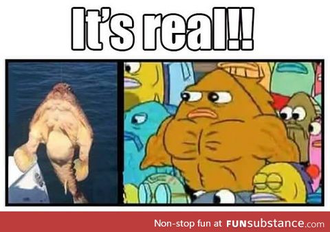 I knew Sponge Bob wouldn't lie to me