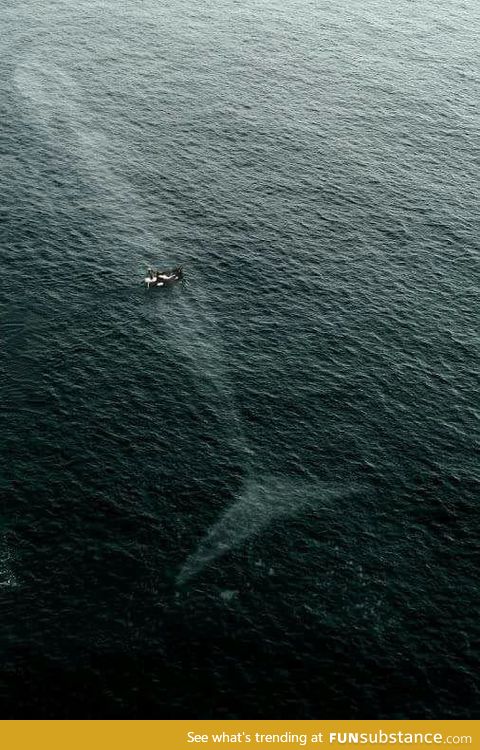 Those guys have no idea what's below them!