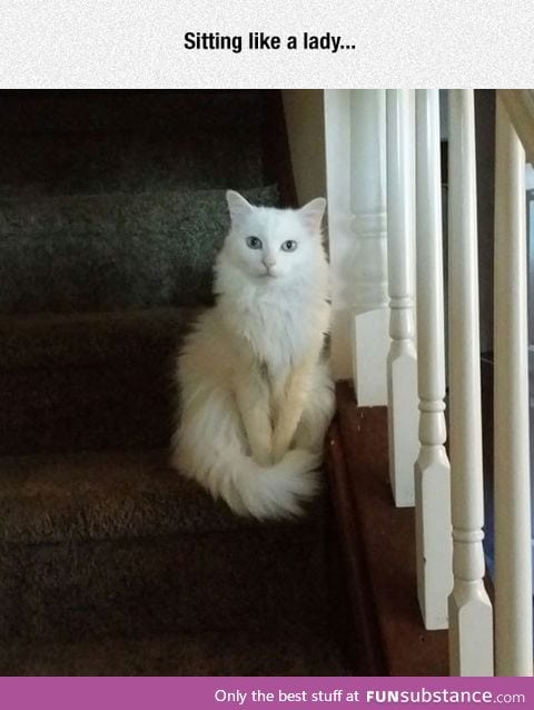 So posh