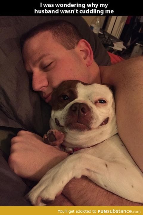 What a dog