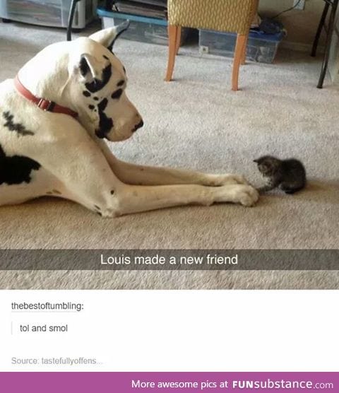 Size doesn't matter