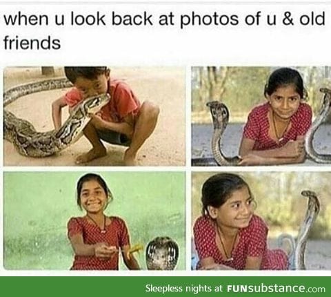 Snek irl