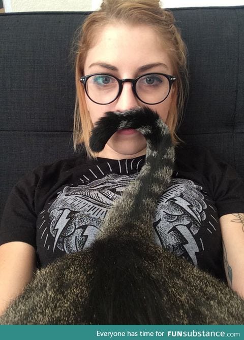 Fabulous meowstache