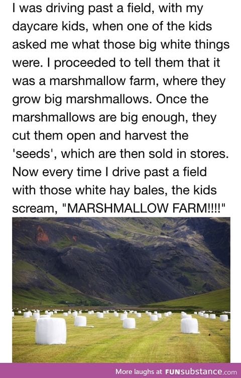 Where marshmallows come from.