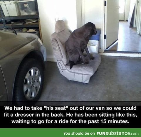 Waiting to go for a ride