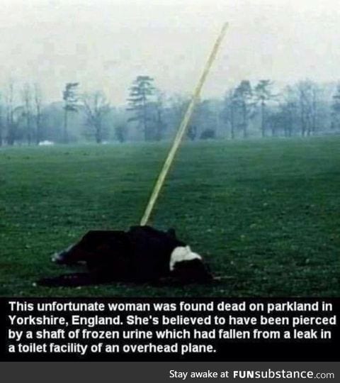 LMAO WHY AM I LAUGHING SO HARD