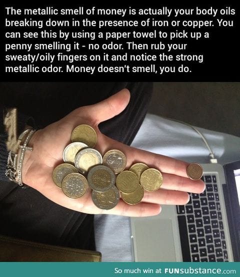 Coins Don't Smell, You Do
