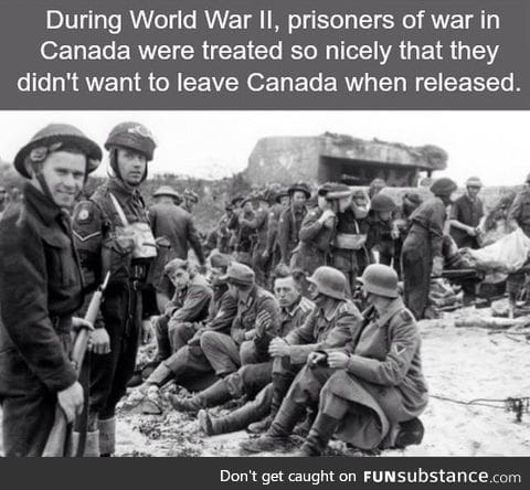 Canadians