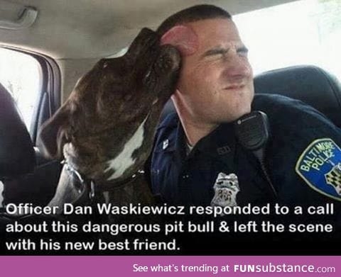 His new best friend